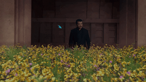 Flowers GIF by cosmosontv