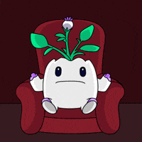 Hands Up Mind Blown GIF by Magic Eden