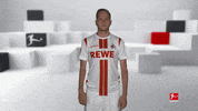 Posing Line Up GIF by Bundesliga