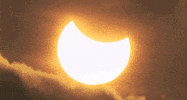 bright sun GIF