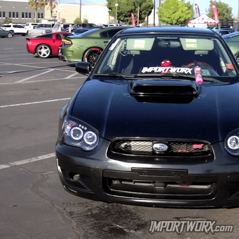 Eye Boxer GIF by ImportWorx