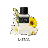 Parfum Roos Sticker by Lanior