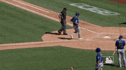 Ny Mets Home GIF by New York Mets