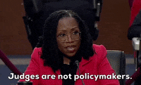 Senate Judiciary Committee GIF by GIPHY News