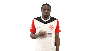 Eintracht Frankfurt Kiss Sticker by Bundesliga