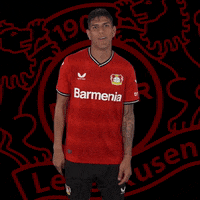 Goal Celebrate GIF by Bayer 04 Leverkusen