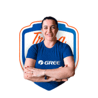 Gree Sticker by GreeBrasil