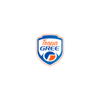 Gree Sticker by GreeBrasil