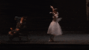 Enbsylphide GIF by English National Ballet