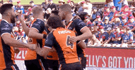 Try Celebrate GIF by Wests Tigers