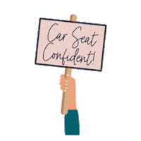Csc Sits Sticker by Safe in the Seat