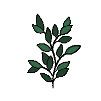 jefabriquemescosmetiques green beaute plante recette Sticker