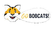 College Voting Sticker by Quinnipiac University