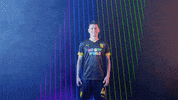 Meow Wolf Home Kit GIF by New Mexico United