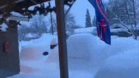 Cars Buried Under Snow in Anchorage