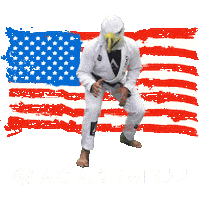 Grappling 10Th Planet Sticker by Academy Jiu-Jitsu