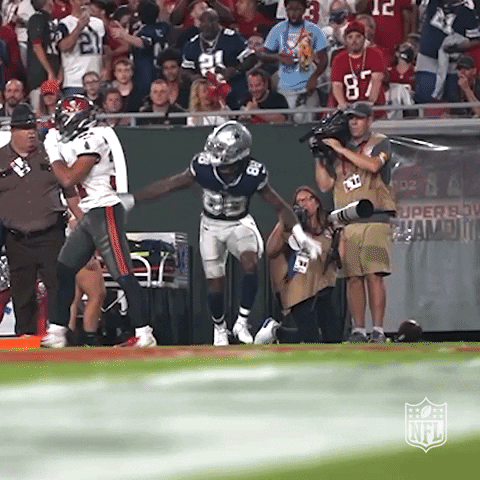 Happy Dallas Cowboys GIF by NFL