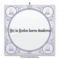Humor Nl GIF by Tegelspreuken.nl