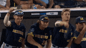 cheer dugout GIF by Michigan Athletics