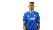 Football Sport Sticker by Karlsruher SC
