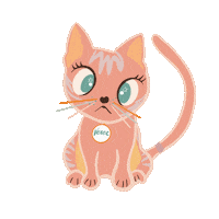 varaecrea cat kitty gato meow Sticker