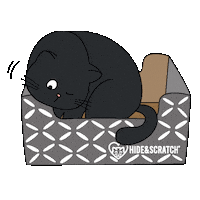 If I Fits I Sits Black Cat Sticker by Hide & Scratch