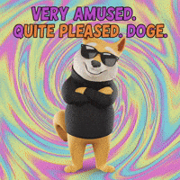 GIF by Doge Pound