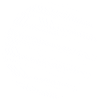 PolarisInc wow helmet polaris woow Sticker