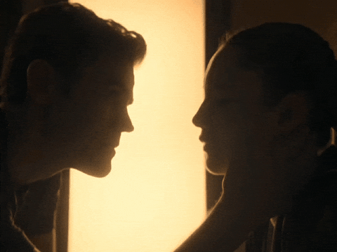 Paul Wesley Kiss GIF