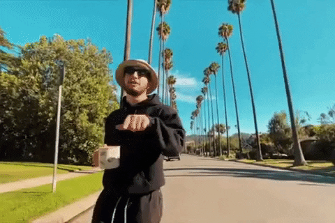 Cant Hear You Palm Trees GIF by Alec King