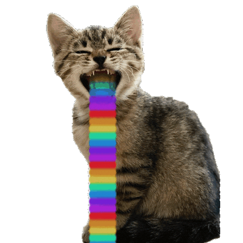Cat Rainbow Sticker