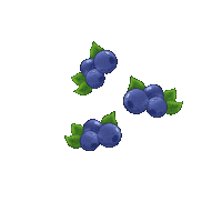 CalitoGang parrot blueberry berries calito Sticker