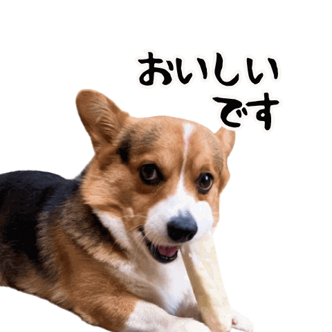 Corgi Milo Sticker