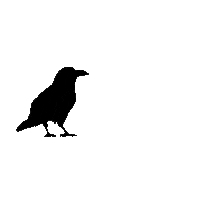 Ravn Sticker by Gimle