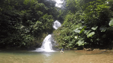 sozorangak giphyupload mashpi GIF