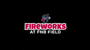 HbgSens fireworks senators sens harrisburg senators GIF