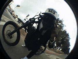 Wolf Bass GIF by IDK