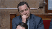 jean-frederic poisson grimace GIF by franceinfo