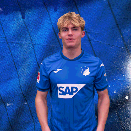 Sport Bundesliga GIF by TSG Hoffenheim