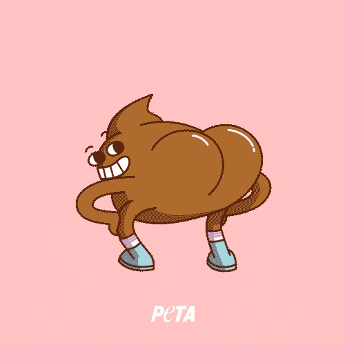 Go Vegan Plant Based Diet GIF by PETA