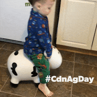 agmorethanever cdnag cdnagday canadian ag agmorethanever GIF
