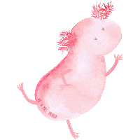 Sleepy Axolotl Sticker by Mr. & Mrs. Panda