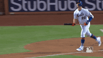 Celebrate Ny Mets GIF by New York Mets