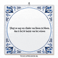 Moment Nl GIF by Tegelspreuken.nl