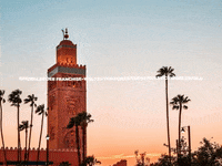 GIF by FranchiseONE.de