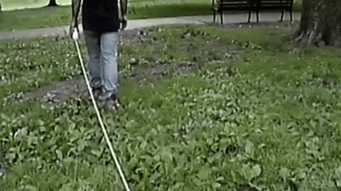 Band Philadelphia GIF by Topshelf Records