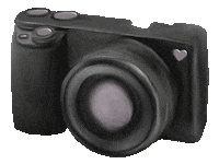 Heart Camera Sticker
