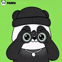 Panda Looking GIF by Pandu Pandas