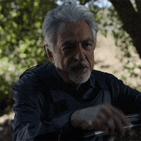 Like That Bau GIF by Paramount+