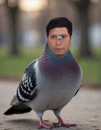 Rntx GIF